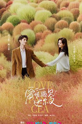 服务周到的seo优化