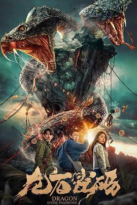 青海seo优化方案